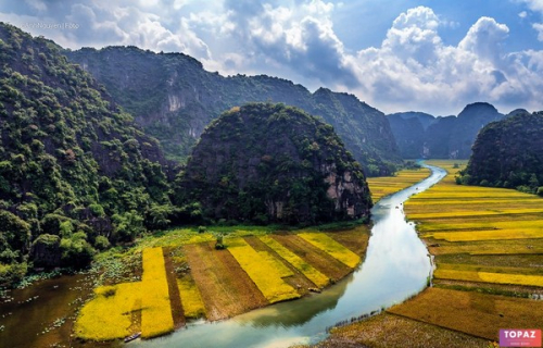 Hình ảnh cánh đồng mênh mông